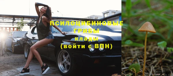гашик Абинск