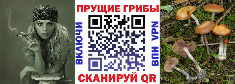 Псилоцибиновые грибы ЛСД  Аксай 